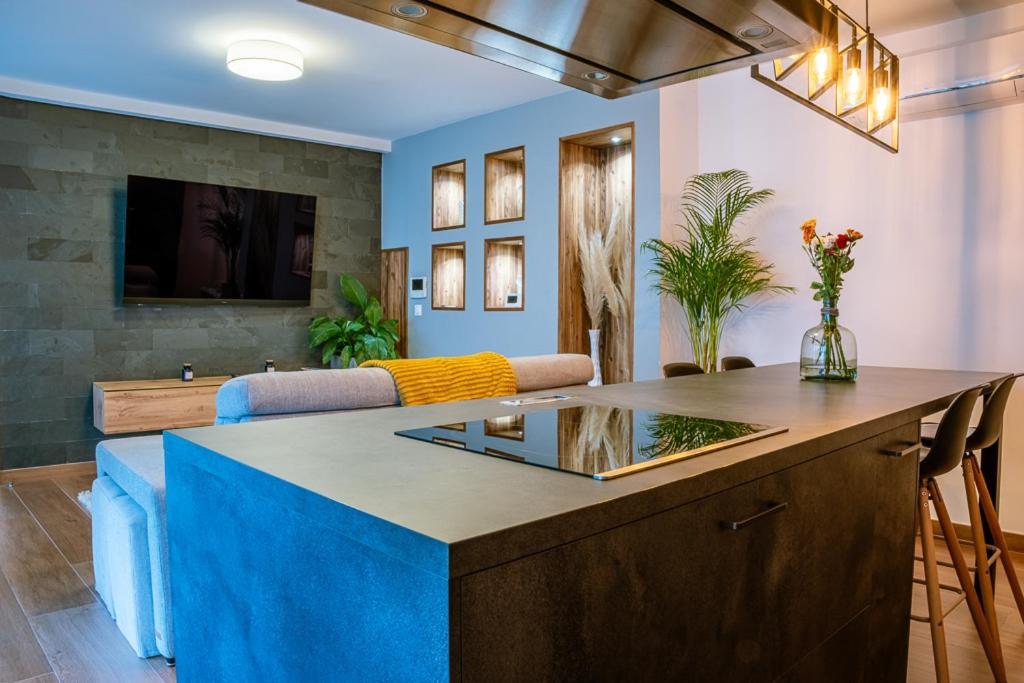 Appartement Cosy Jardin Et Terrasse Στρασβούργο Εξωτερικό φωτογραφία